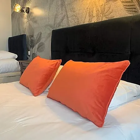 호텔 Logis Restaurant Du Cheval Blanc 3*